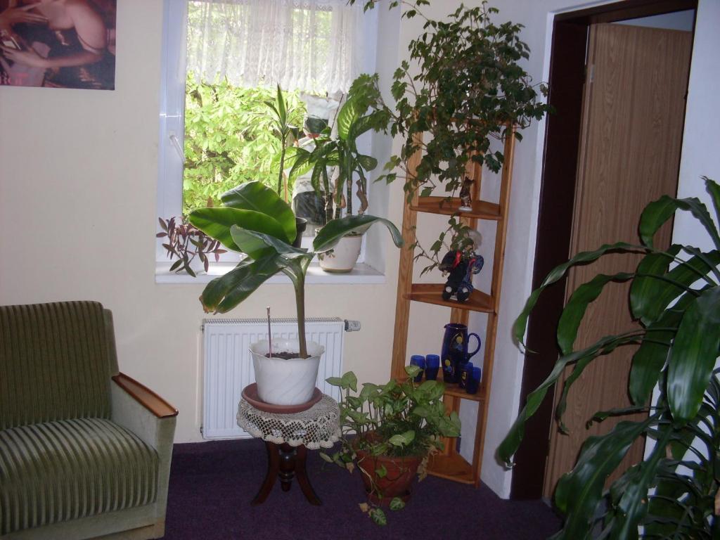 Pension U Kastanu Karlovy Vary Phòng bức ảnh